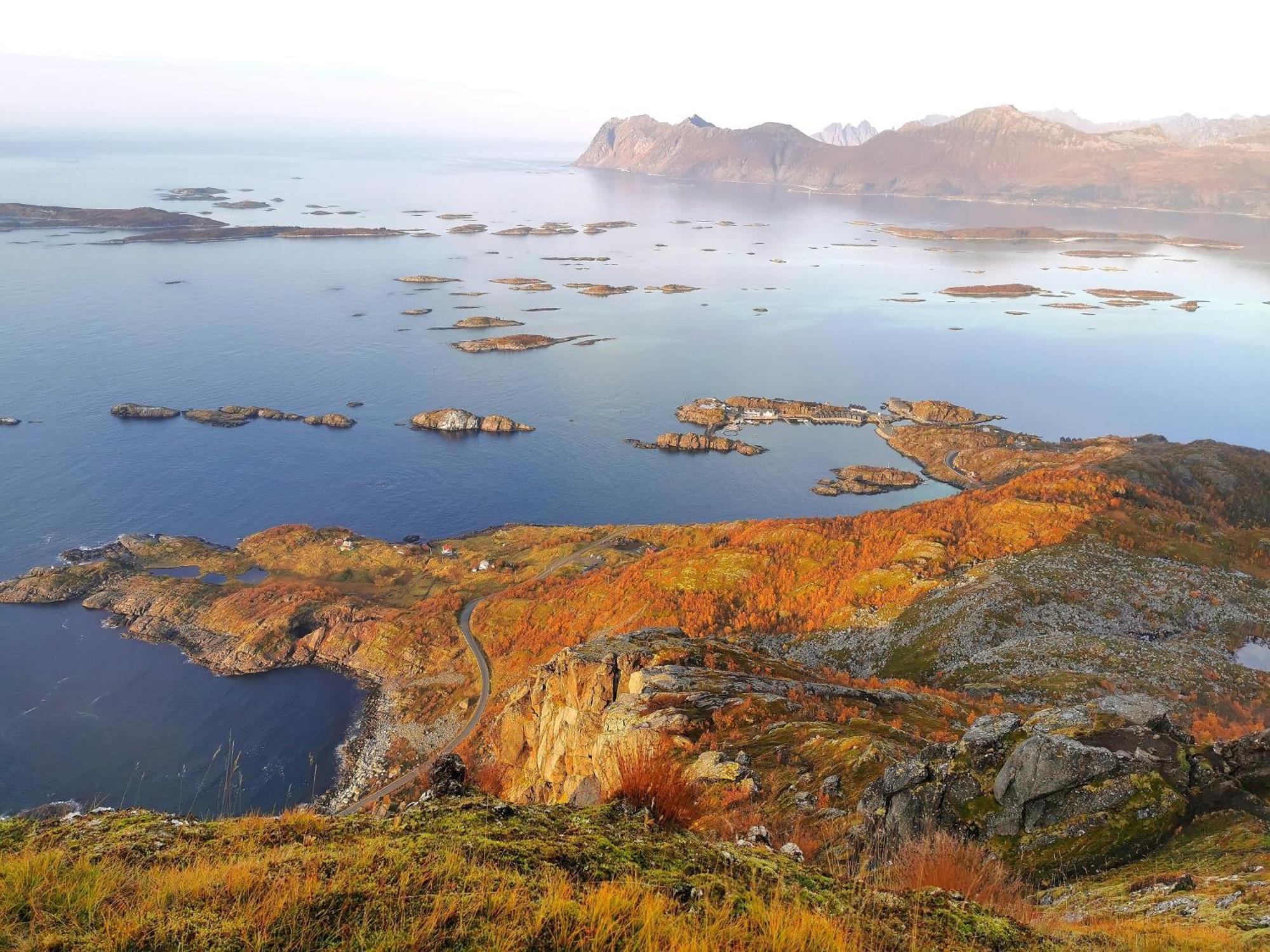 Ferrytale, Cozy, Spacious House On Senja Gryllefjord Ngoại thất bức ảnh