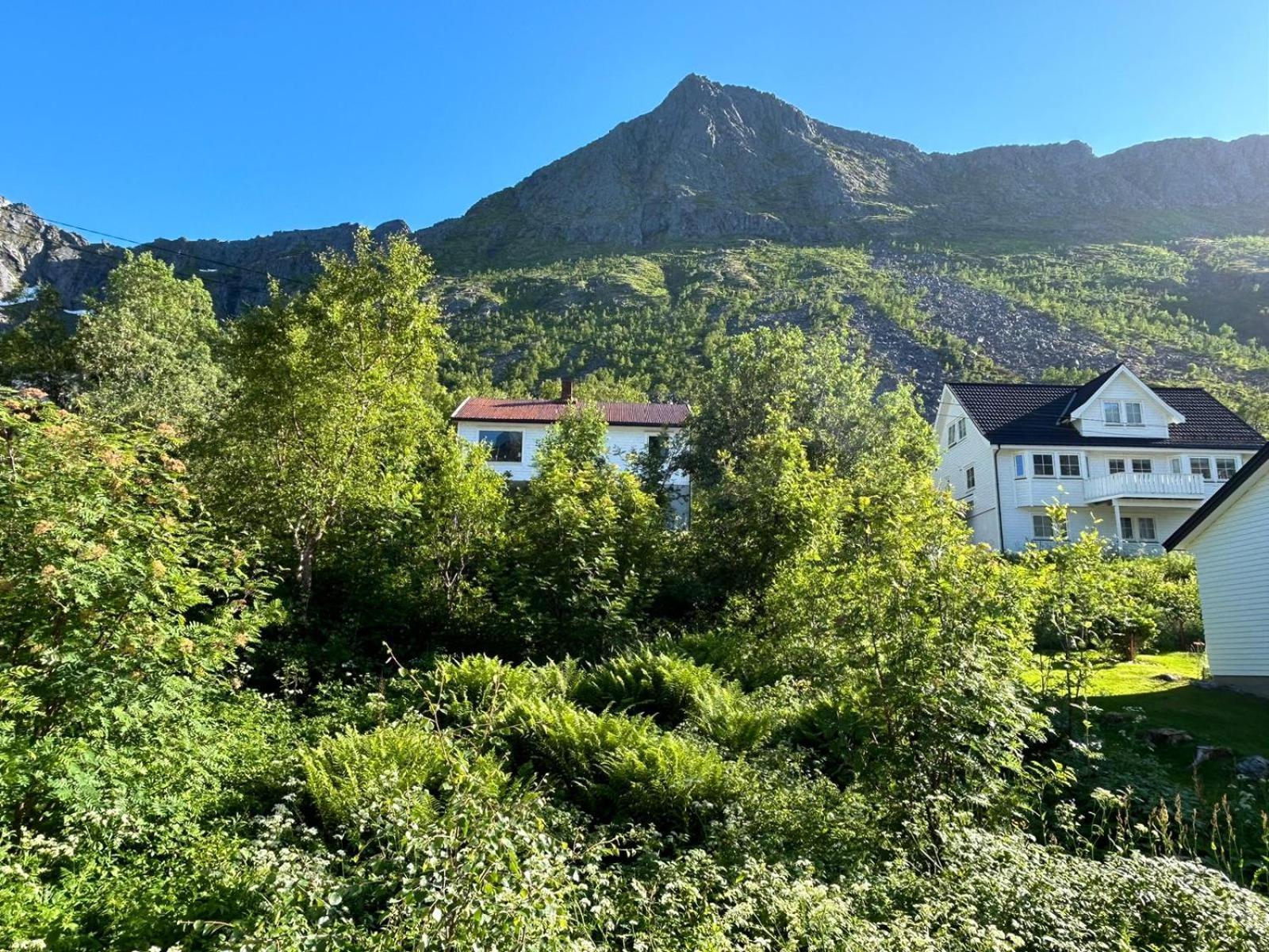 Ferrytale, Cozy, Spacious House On Senja Gryllefjord Ngoại thất bức ảnh